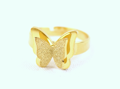 Butterfly Locket Set